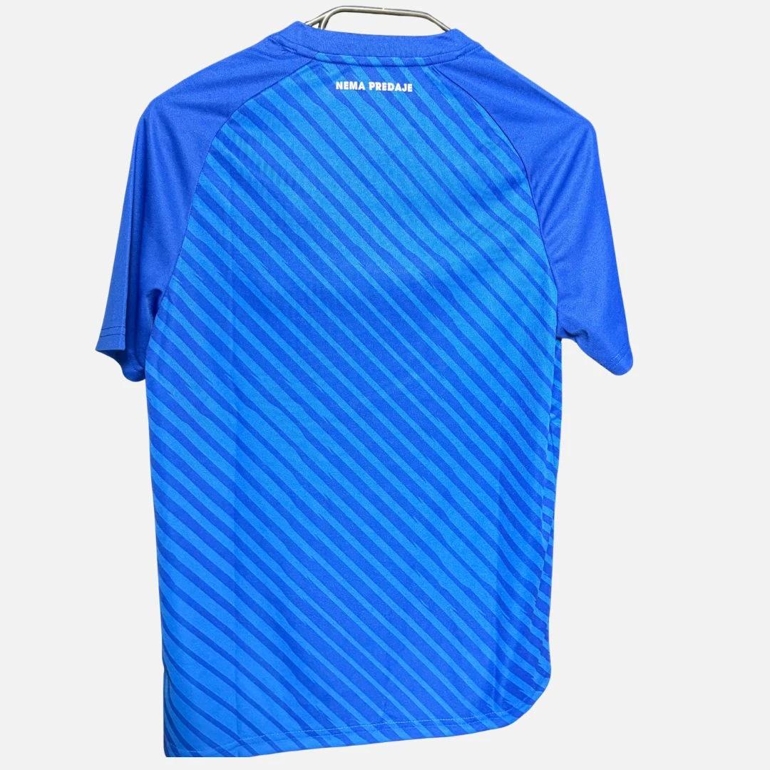 Dinamo Zagreb Trainingstrikot 2024-2025 (ohne Logo)