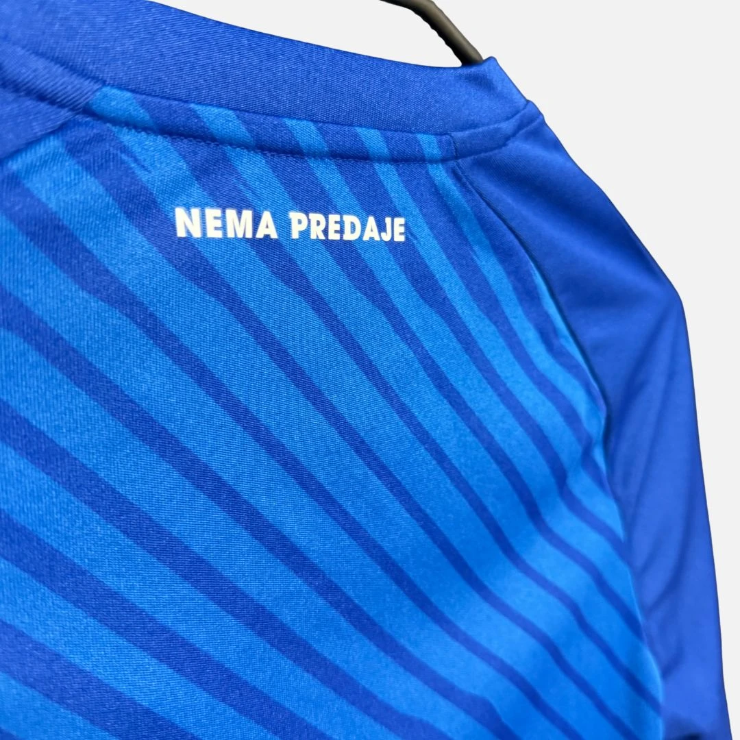Dinamo Zagreb Trainingstrikot 2024-2025 (ohne Logo)