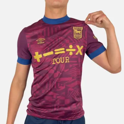 Ipswich Town Away Shirt 2024-2025