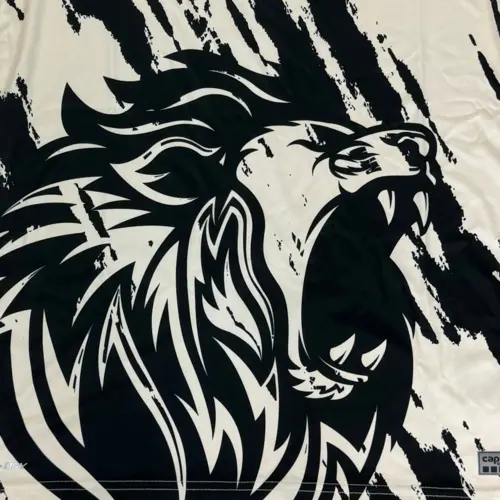 F91 Diddeleng Beastmode Trikot 2024-2025