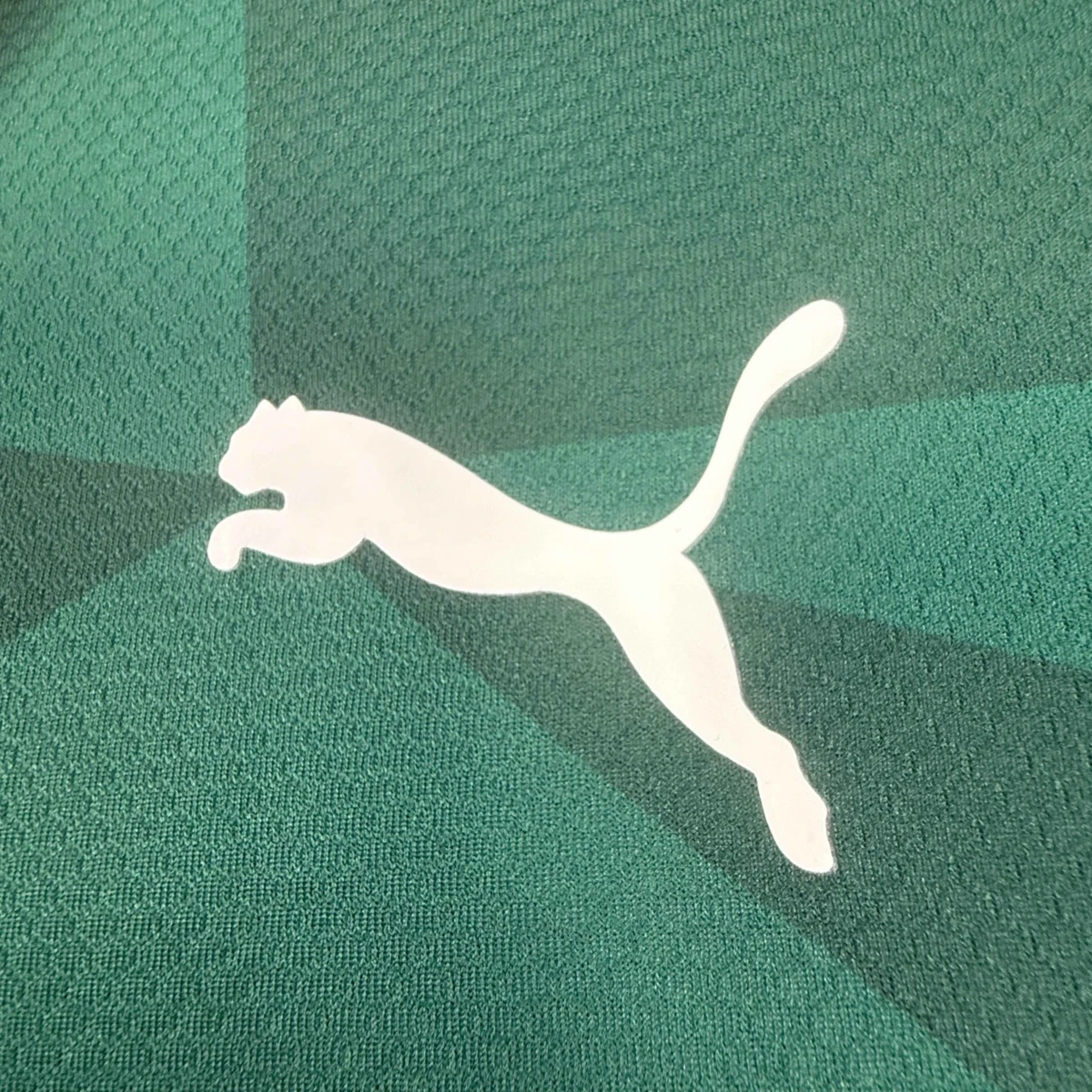 Palmeiras Maglia Home 2023